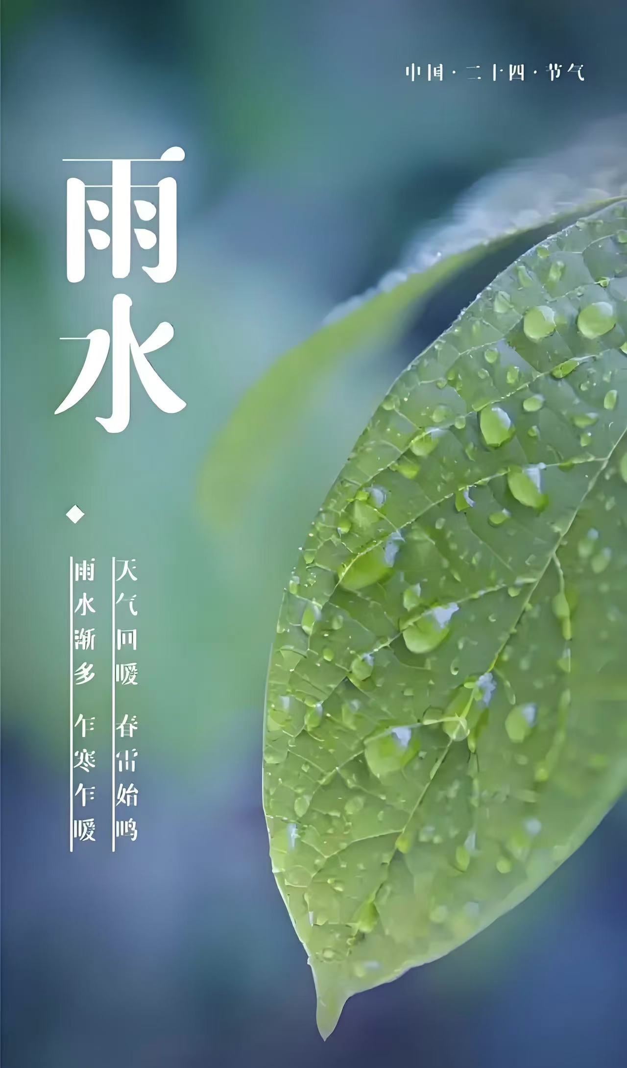 今日雨水 | 好雨知時(shí)節(jié)，當(dāng)春乃發(fā)生